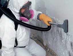 Why You Should Choose Our Mold Remediation Services in Walnut, CA